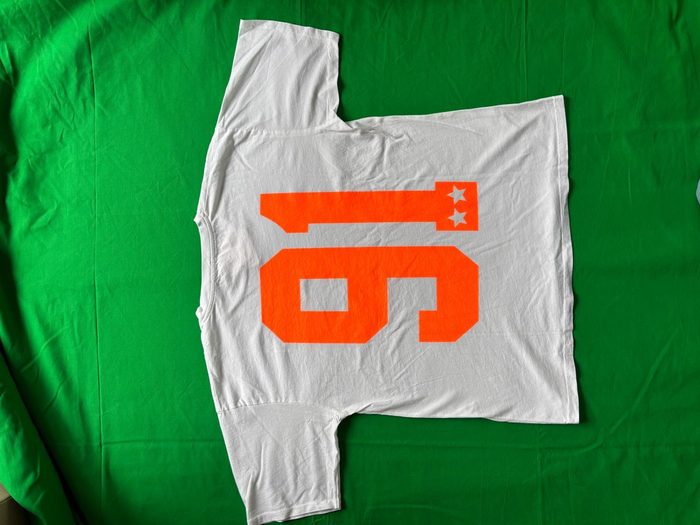 La photo source de la pièce, à plat sur un drap vert